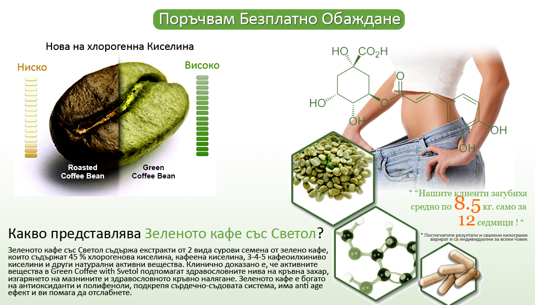 Хлорогенната киселина в зеленото кафе е с високо съдържание. Green coffee 800 е уникален продукт от кафе.